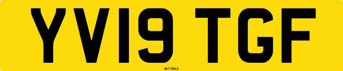 YV19TGF MOT Check