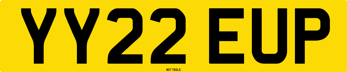 YY22EUP MOT Check
