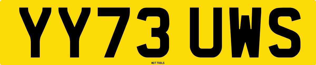 YY73UWS MOT Check