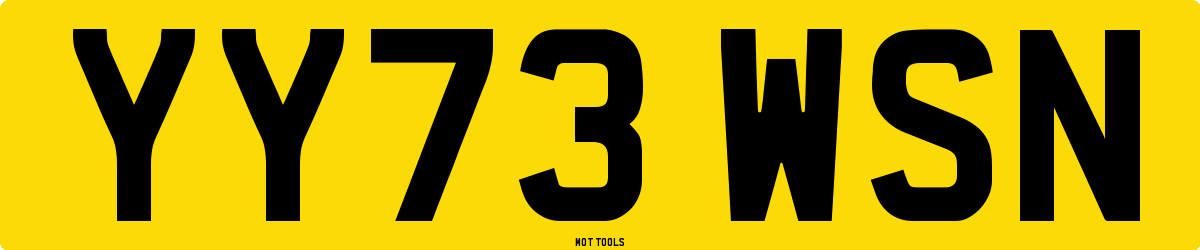YY73WSN MOT Check